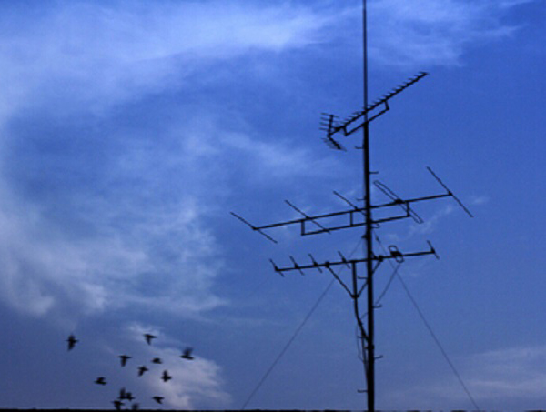 Distributed-Antenna-System